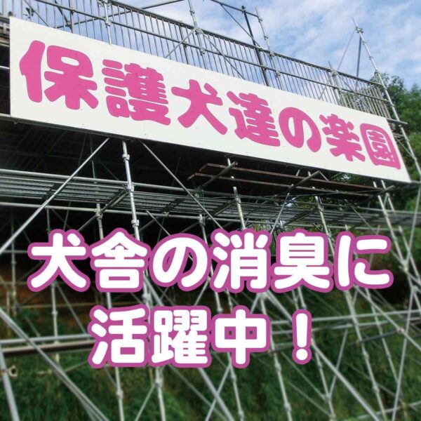 【バイオとハーブの力で消臭】保護犬達の楽園ペット用消臭&抗菌スプレー詰め替え500ml　青森ヒバ配合　食品基準成分100％で安心安全 - 画像 (3)